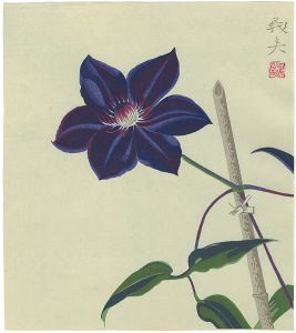 Takagi Yoshio / Clematis