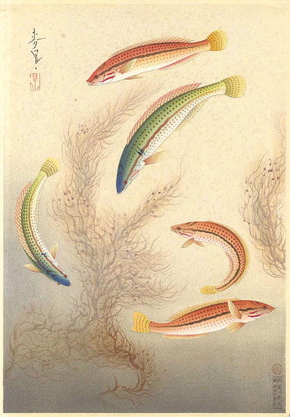 Ono Bakufu “Fish of Japan / The Bera”