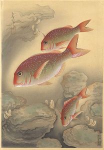 Ono Bakufu / Fish of Japan / The Tai (Sea-bream)