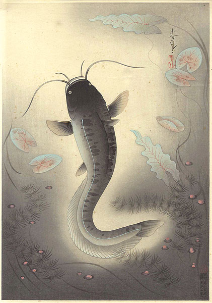 Ono Bakufu “Fish of Japan / The Namazu (Silurus glanis asotus)”