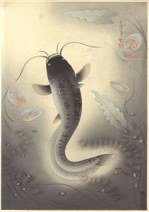 Ono Bakufu / Fish of Japan / The Namazu (Silurus glanis asotus)