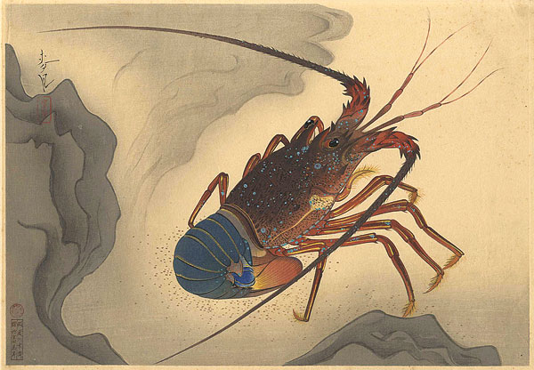 Ono Bakufu “Fish of Japan / The Iseebi (Lobster)”