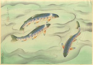 Ono Bakufu / Fish of Japan / The Nijimasu (Rainbow-Trout)