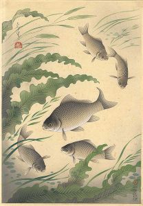 Ono Bakufu / Fish of Japan / The Funa (Crucian)