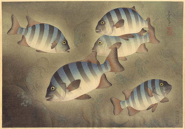 Ono Bakufu “Fish of Japan / The Ishidai (Rock Sea Bream)”