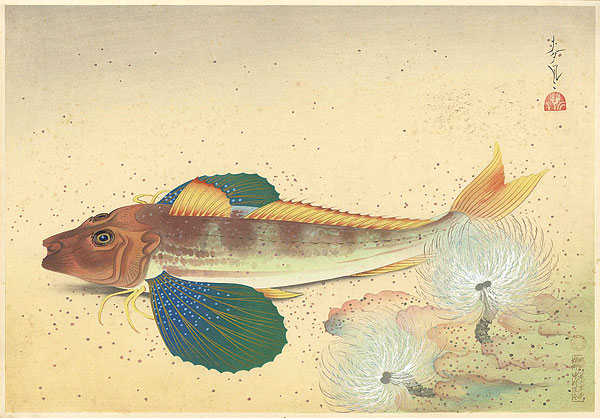 Ono Bakufu “Fish of Japan / The Hobo (Gurnard)”