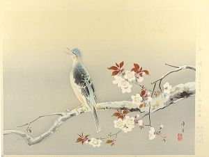 Kodama Kibo / Clear Spring Day