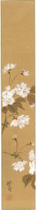 Ishii Hakutei / 自筆短冊 桜