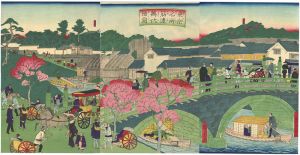 Hiroshige III / 東京名所　筋違萬代橋図 [東京名所　筋違萬代橋図]
