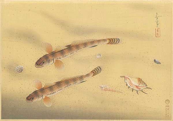 Ono Bakufu “Fish of Japan / The Mahaze (Yellowfin Goby)”