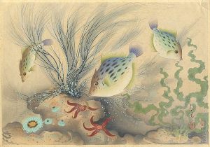 Ono Bakufu / Fish of Japan / The Kawahagi (Filefish) 