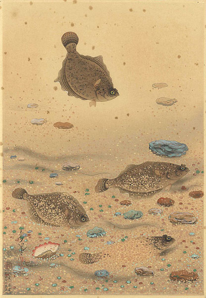 Ono Bakufu “Fish of Japan / The Karei (Floundera Flatfish)”