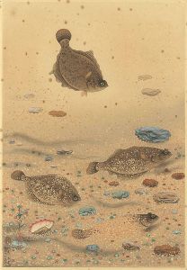 Ono Bakufu / Fish of Japan / The Karei (Floundera Flatfish)