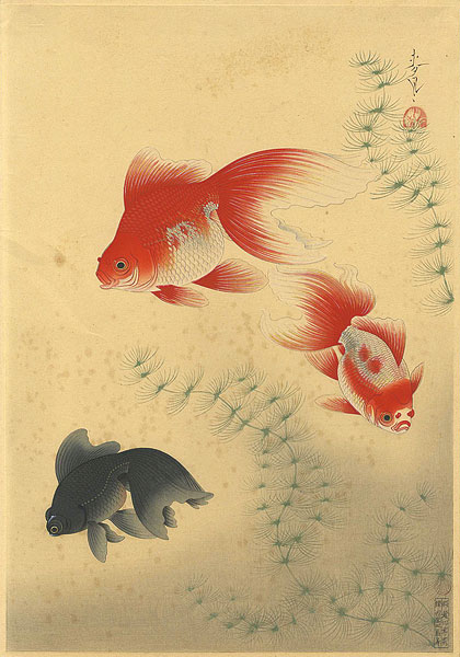 Ono Bakufu “Fish of Japan / The Kingyo (Goldfish) ”