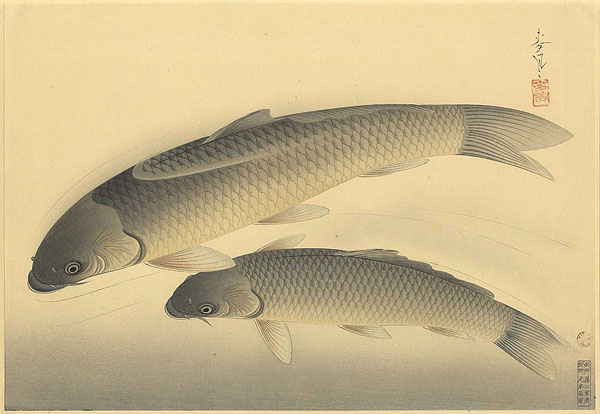 Ono Bakufu “Fish of Japan / The Magoi (Black Carp) ”