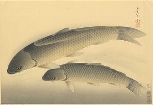 Ono Bakufu / Fish of Japan / The Magoi (Black Carp) 