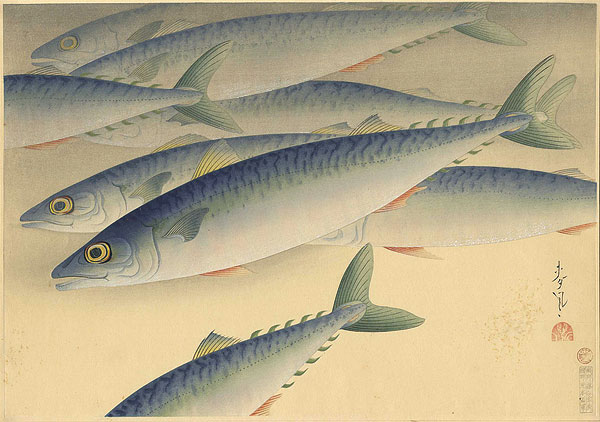 Ono Bakufu “Fish of Japan / The Saba (Mackerel)”