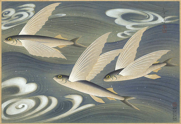 Ono Bakufu “Fish of Japan / The Tobiuo (Flying Fish) ”