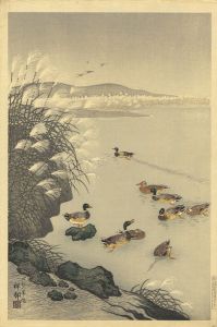 Ohara Koson(Shoson) / Late Autumn Pond
