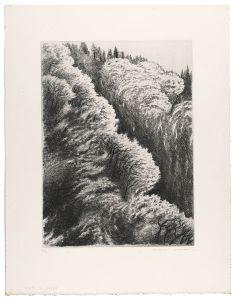 Kimura Shigeru / Waving Forest (G)