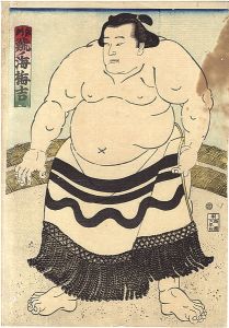 Sumo-e Shachinoumi Umekichi