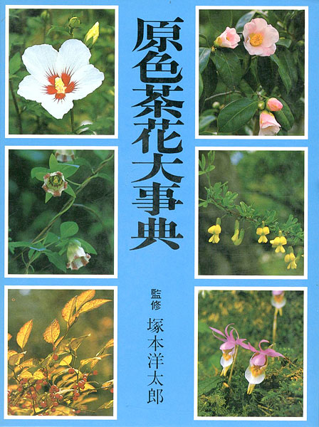 “原色茶花大事典” 塚本洋太郎監修