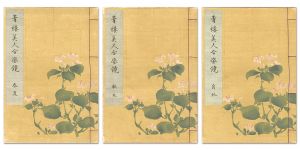 青楼美人合姿鏡 3冊揃 【復刻版】