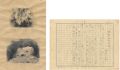 Manuscript and Drawing (Nachi ......