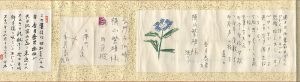Kazuki Yasuo / Letter from Kazuki Yasuo