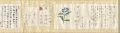 Letter from Kazuki Yasuo
