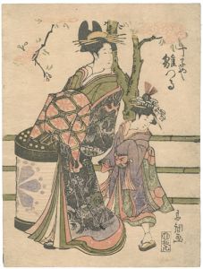 Shucho / 丁子や雛つる [丁子や雛つる]