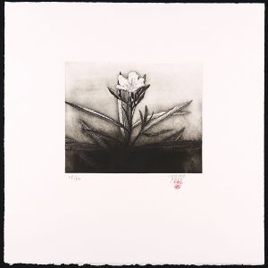Sato Ichiro / 夾竹桃