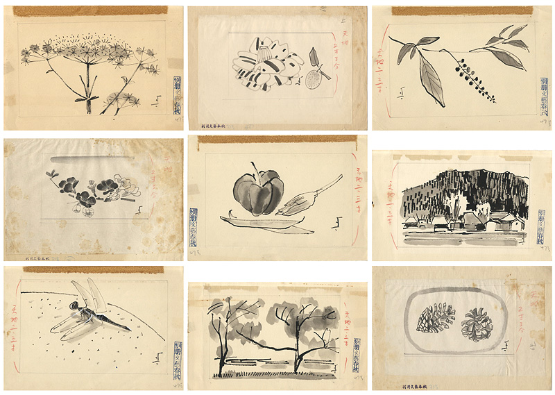 Fukuda Toyoshiro “自筆画稿”