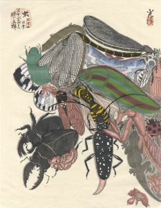 Five Subjects Dedicated to Arcimboldo / Insect