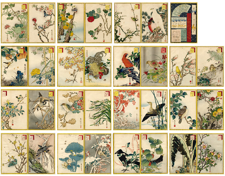 Sugakudo “48 Birds Drawn from Life”