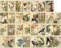 48 Birds Drawn from Life