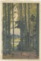 Bamboo Grove 