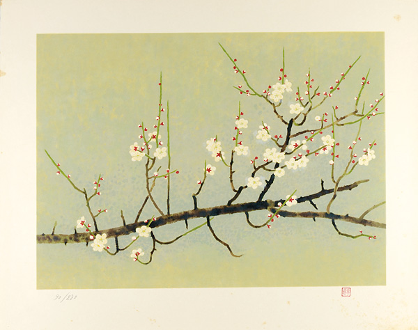Yamaguchi Kayo “White Plum”