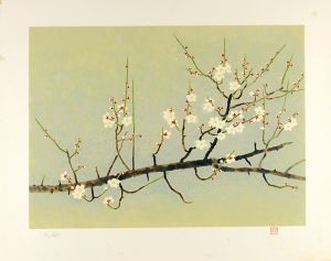 Yamaguchi Kayo / White Plum