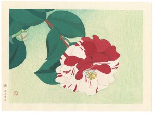 Takagi Shiro / 椿