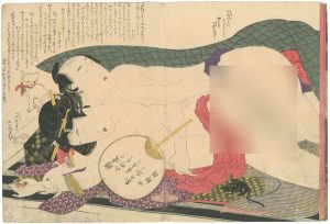 北斎「春画　ついの雛形」