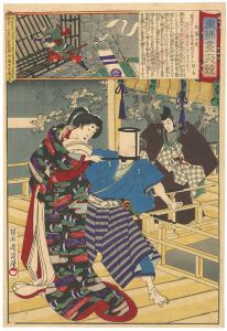 Chikanobu / Embroidery Pictures, Comparison of the Day and the Night / #26 Matsushima no Tsubone [東錦昼夜競 松島の局]