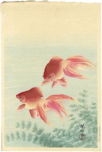 Ohara Shoson / Goldfish