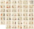 One Hundred Beauties Depicting......