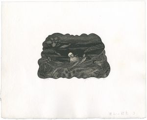 Yamamoto Susumu / 夢応の鯉魚 3