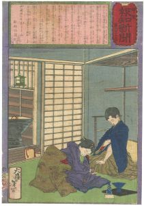 Hochi Newspaper No.463