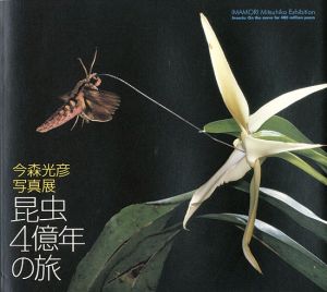 ｢今森光彦写真展 昆虫4億年の旅｣