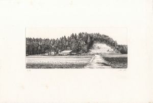 Yoshida Katsuhiko	 / 早春