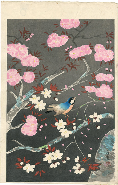 大野麥風「桜と小鳥（仮題）」