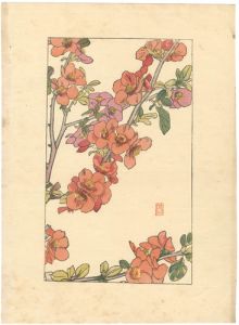 Fujisima Takeji / 挿絵
